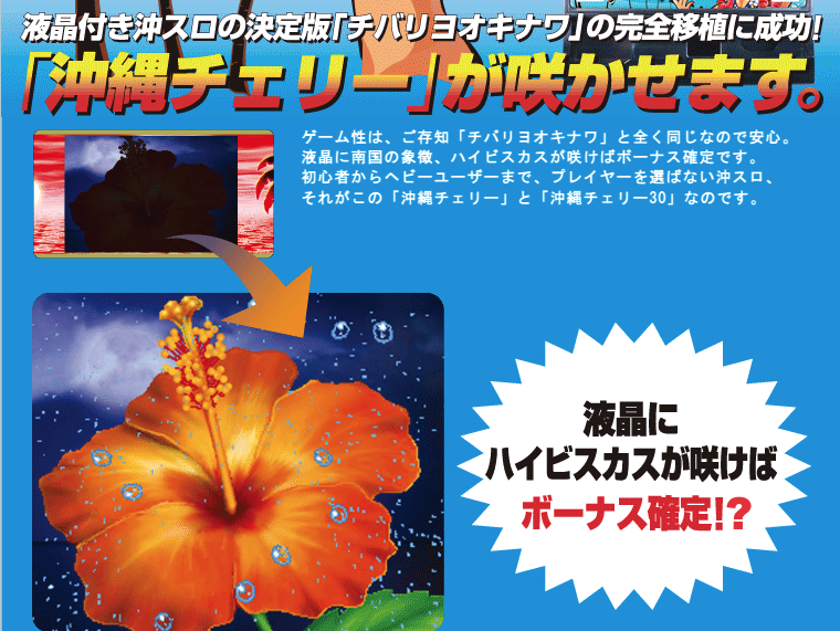 沖縄チェリーの告知演出を紹介する販促資料