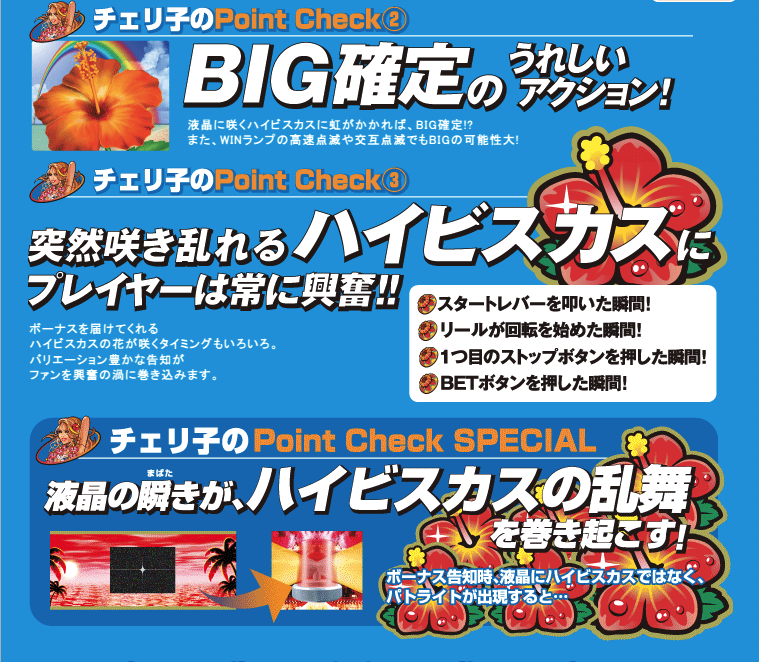 沖縄チェリーの遊技方法を紹介する販促資料