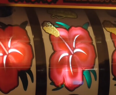 イミソーレ-30 - 闇スロドットコム